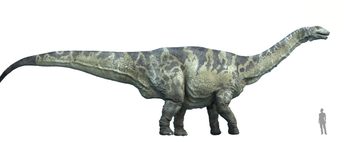 Argentinosaurus1