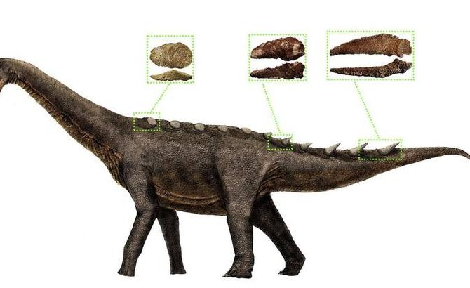 FÓSILES DE CUENCA DAN FORMA A LA ARMADURA DE LOS ÚLTIMOS DINOSAURIOS GIGANTES